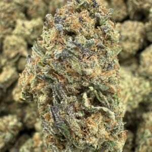 Glitterbomb – Bulk THCA Flower (Indoor Pounds)