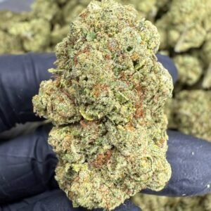 Golden Goat – Bulk THCA Flower (Greenhouse Pounds)