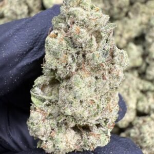 Gorilla Glue – Bulk THCA Flower (Indoor Pounds)