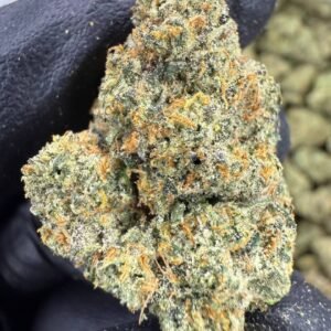 Granddaddy Purple – Bulk THCA Flower (Indoor Pounds)