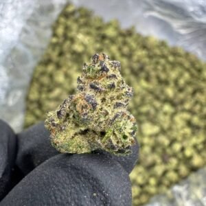 Grape Gas – Bulk THCA Flower (Indoor Pounds)