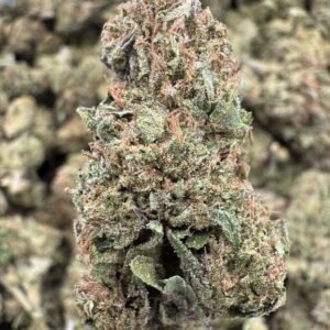 Grease Monkey – Bulk THCA Flower (Sungrown Pounds)