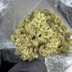 Guava Gas – Bulk THCA Flower (Greenhouse Pounds)
