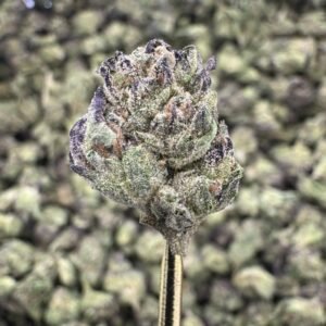 Guava Gas – Bulk THCA Flower (Greenhouse Pounds)
