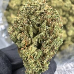 Gumbo – Bulk THCA Flower (Sungrown Pounds)
