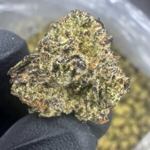 Gumbo – Bulk THCA Flower (Indoor Pounds)