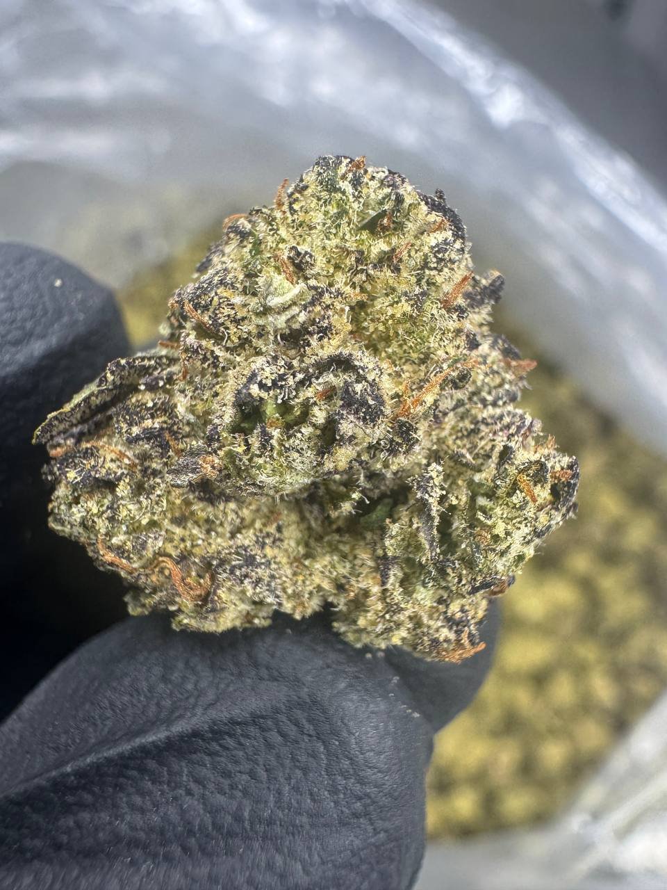 Gumbo – Bulk THCA Flower (Indoor Pounds) 1 Gumbo – Bulk THCA Flower (Indoor Pounds)