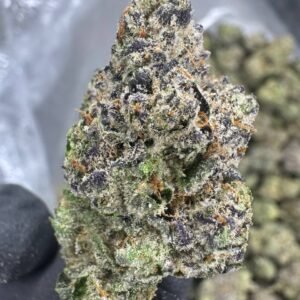 Gumbo – Bulk THCA Flower (Indoor Pounds)