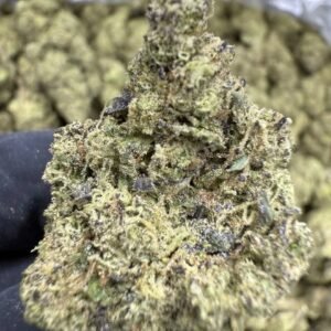 Gush Mintz – Bulk THCA Flower