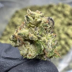 Hash Burger – Bulk THCA Flower (Indoor Pounds)