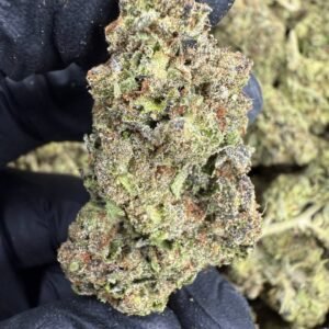 Hash Burger – Bulk THCA Flower (Sungrown Pounds)
