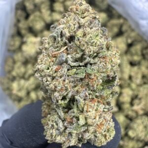Headband – Bulk THCA Flower (Sungrown Pounds)