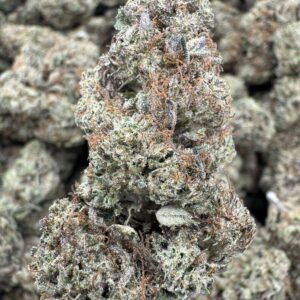 Hella Jelly – Bulk THCA Flower (Greenhouse Pounds)