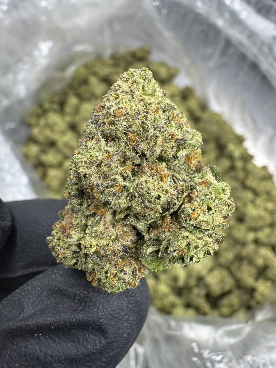 Ice Cream Cake – Bulk THCA Flower (Sungrown Pounds) 1 Ice Cream Cake – Bulk THCA Flower (Sungrown Pounds)
