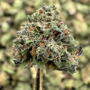 Insane Pound Cake – Bulk THCA Flower (Greenhouse Pounds)