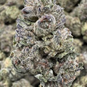Insane Pound Cake – Bulk THCA Flower (Greenhouse Pounds)