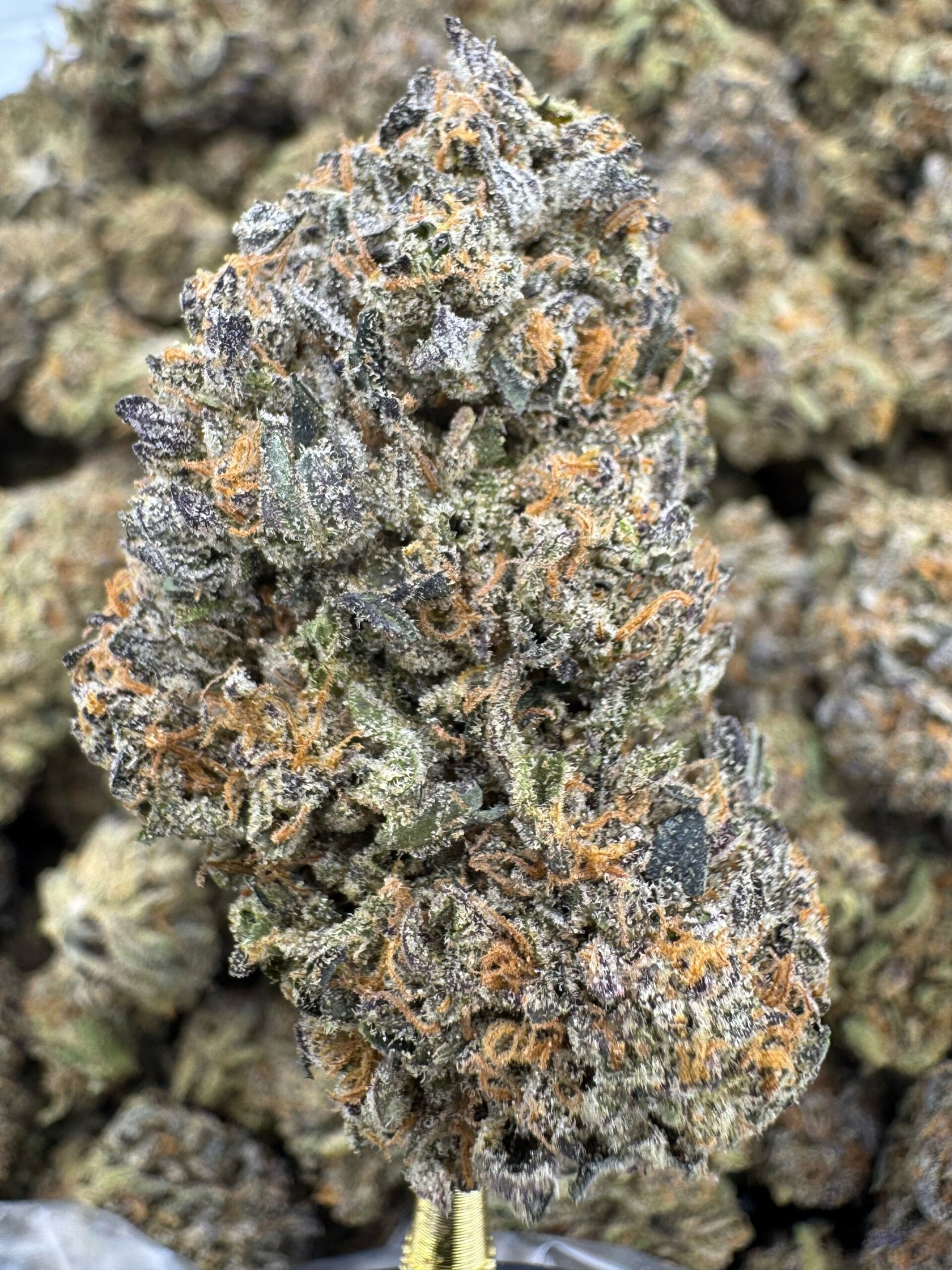 Jealousy – Bulk THCA Flower (Indoor Pounds) 1 Jealousy – Bulk THCA Flower (Indoor Pounds)