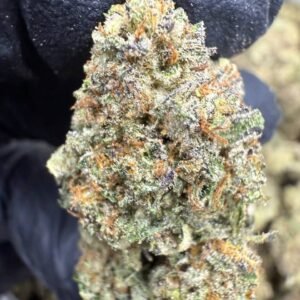 Jokerz – Bulk THCA Flower (Greenhouse Pounds)