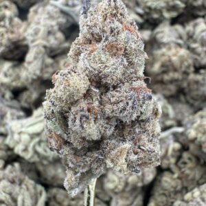 Key Lime Pie – Bulk THCA Flower (Sungrown Pounds)