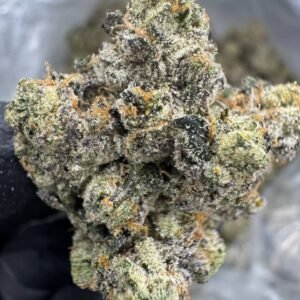 La Runtz – Bulk THCA Flower (Indoor Pounds)