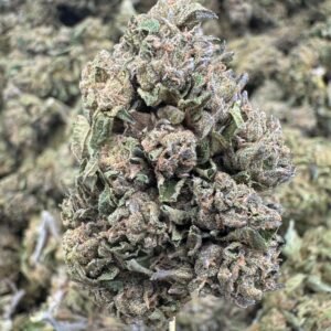 Lamb's Breath – Bulk THCA Flower (Sungrown Pounds)