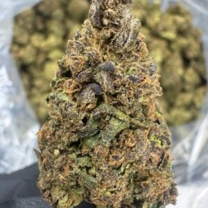 Legend Orange Apricot – Bulk THCA Flower (Sungrown Pounds)