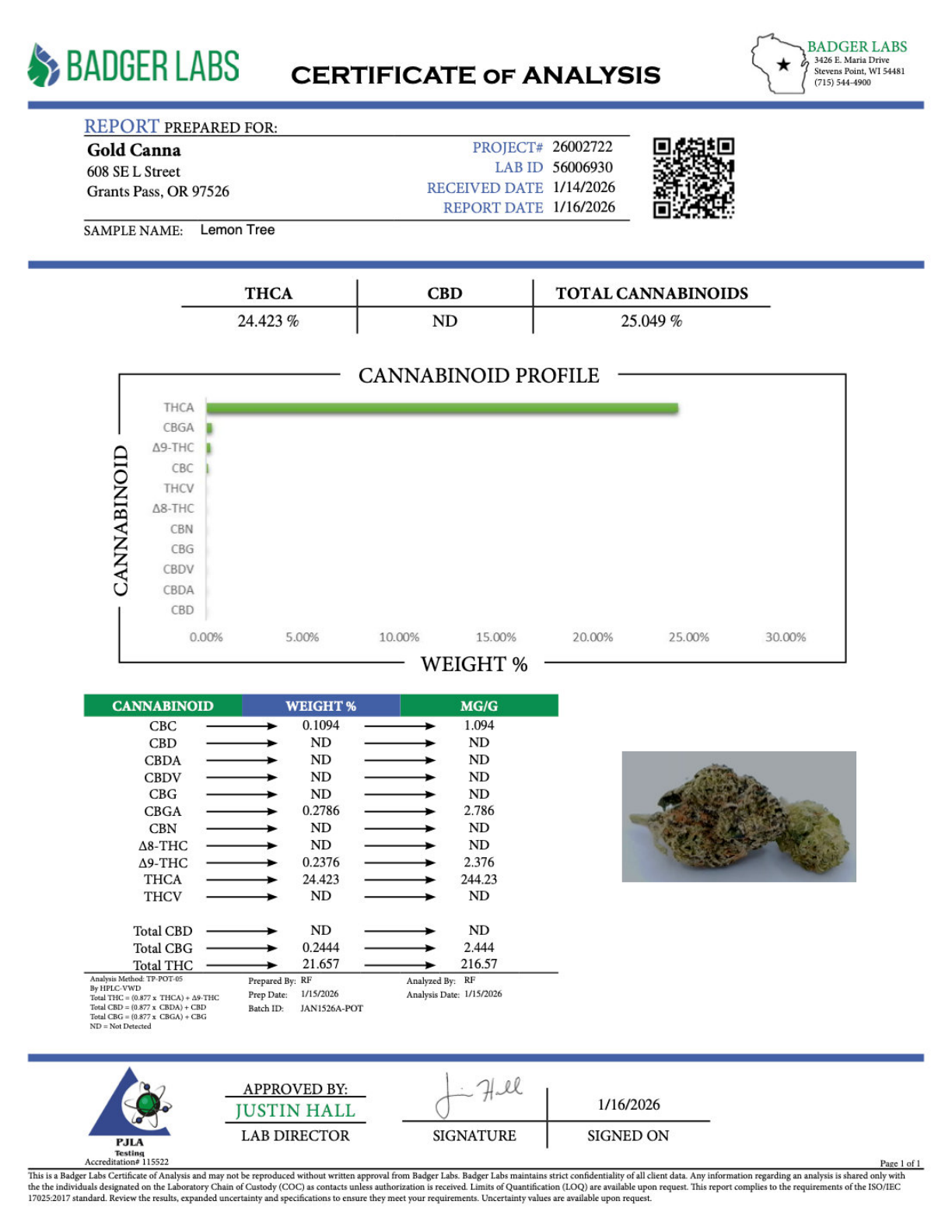 Lemon Tree – Bulk THCA Prerolls 2 Lemon Tree – Bulk THCA Prerolls - Image 2