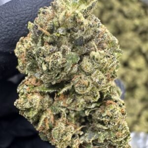 Lemon Cherry Gelato – Bulk THCA Flower (Indoor Pounds)