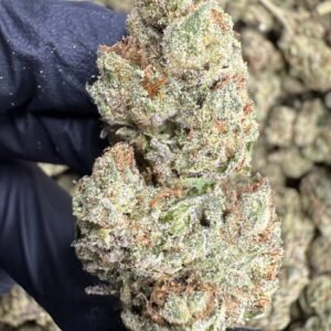 Lemon Cherry Gelato – Bulk THCA Flower