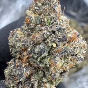 Lemon Cherry Gelato – Bulk THCA Flower (Indoor Pounds)