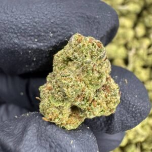 Lemon Cherry Gelato – Bulk THCA Flower (Greenhouse Pounds)