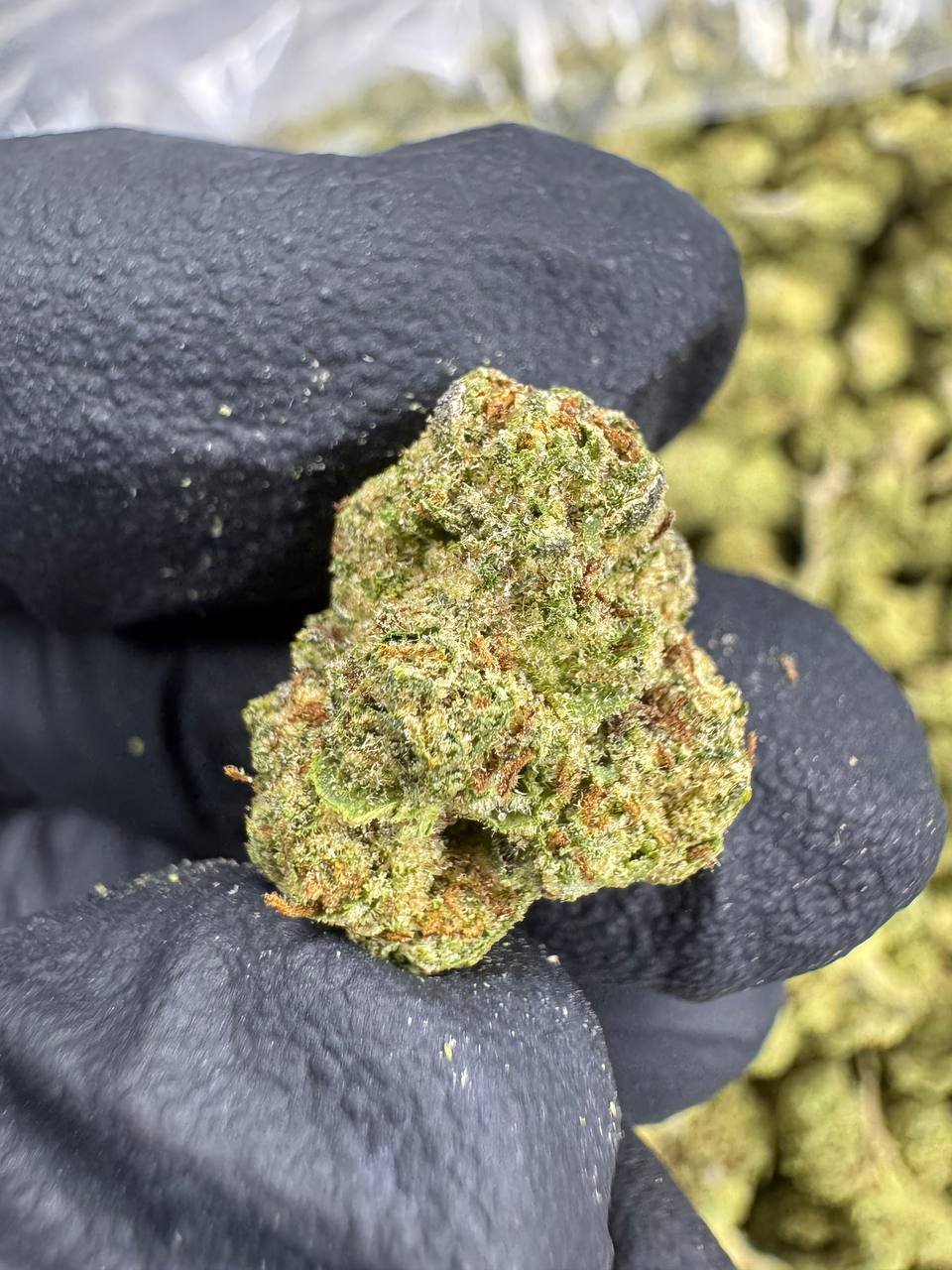 Lemon Cherry Gelato – Bulk THCA Flower (Greenhouse Pounds) 1 Lemon Cherry Gelato – Bulk THCA Flower (Greenhouse Pounds)