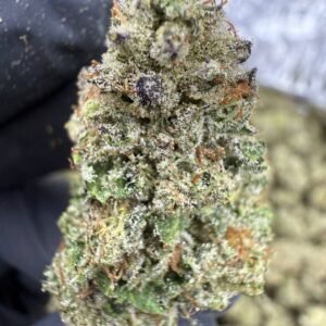 Lemon Cherry Gelato – Bulk THCA Flower (Greenhouse Pounds)