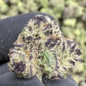 Lemon Cherry Runtz – Bulk THCA Flower (Indoor Pounds)