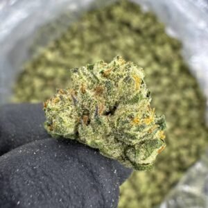 London Jelly – Bulk THCA Flower (Greenhouse Pounds)