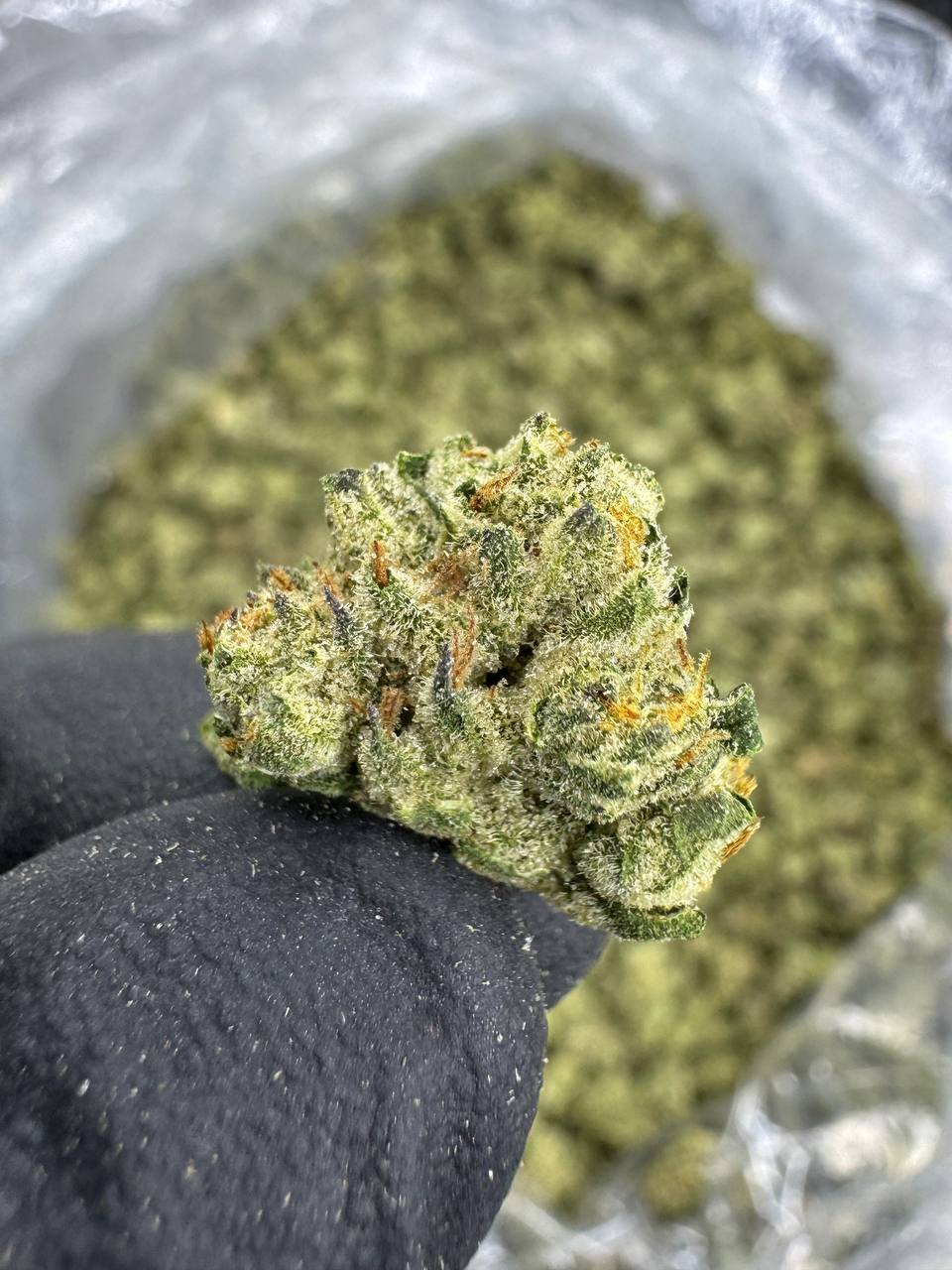 London Jelly – Bulk THCA Flower (Greenhouse Pounds) 1 London Jelly – Bulk THCA Flower (Greenhouse Pounds)
