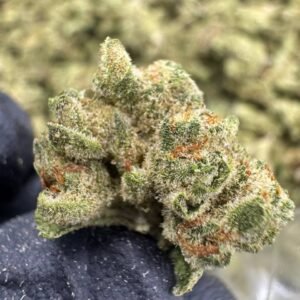London Pound Cake – Bulk THCA Flower (Greenhouse Pounds)