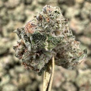 MAC – Bulk THCA Flower (Greenhouse Pounds)