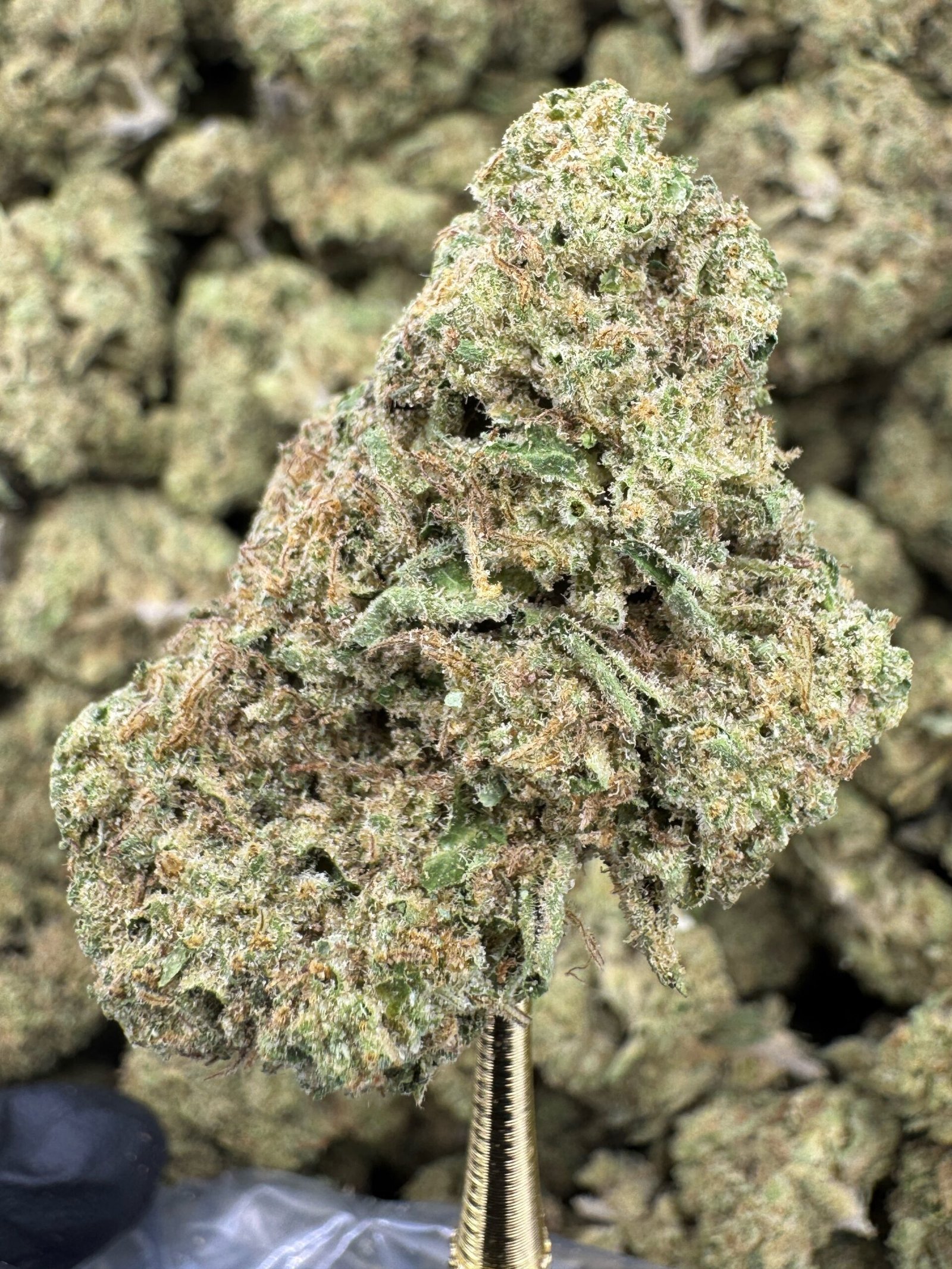 Magic Marker – Bulk THCA Flower (Greenhouse Pounds) 1 Magic Marker – Bulk THCA Flower (Greenhouse Pounds)