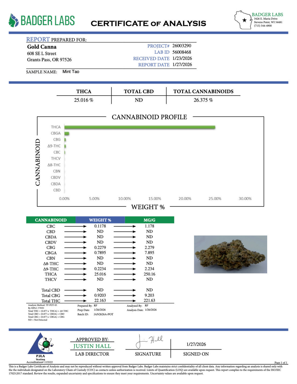 Mint Tao – Bulk THCA Flower (Greenhouse Pounds) 3 Mint Tao – Bulk THCA Flower (Greenhouse Pounds) - Image 3