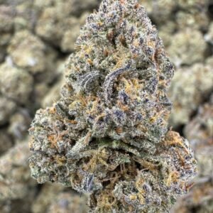 Mint Tao – Bulk THCA Flower (Greenhouse Pounds)