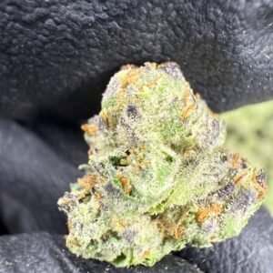 Mochi – Bulk THCA Flower (Indoor Pounds)