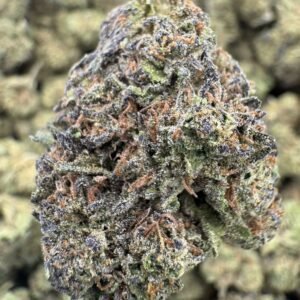 Mochi – Bulk THCA Flower (Sungrown Pounds)