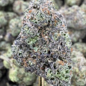 Mochi – Bulk THCA Flower (Indoor Pounds)