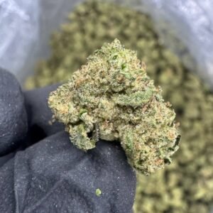 Mochi – Bulk THCA Flower (Greenhouse Pounds)