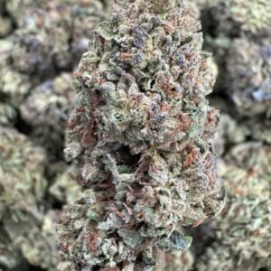 Motor Breath – Bulk THCA Flower (Sungrown Pounds)