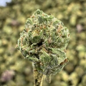 Mule Fuel – Bulk THCA Flower (Greenhouse Pounds)