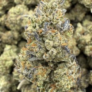 Mule Fuel – Bulk THCA Flower (Indoor Pounds)