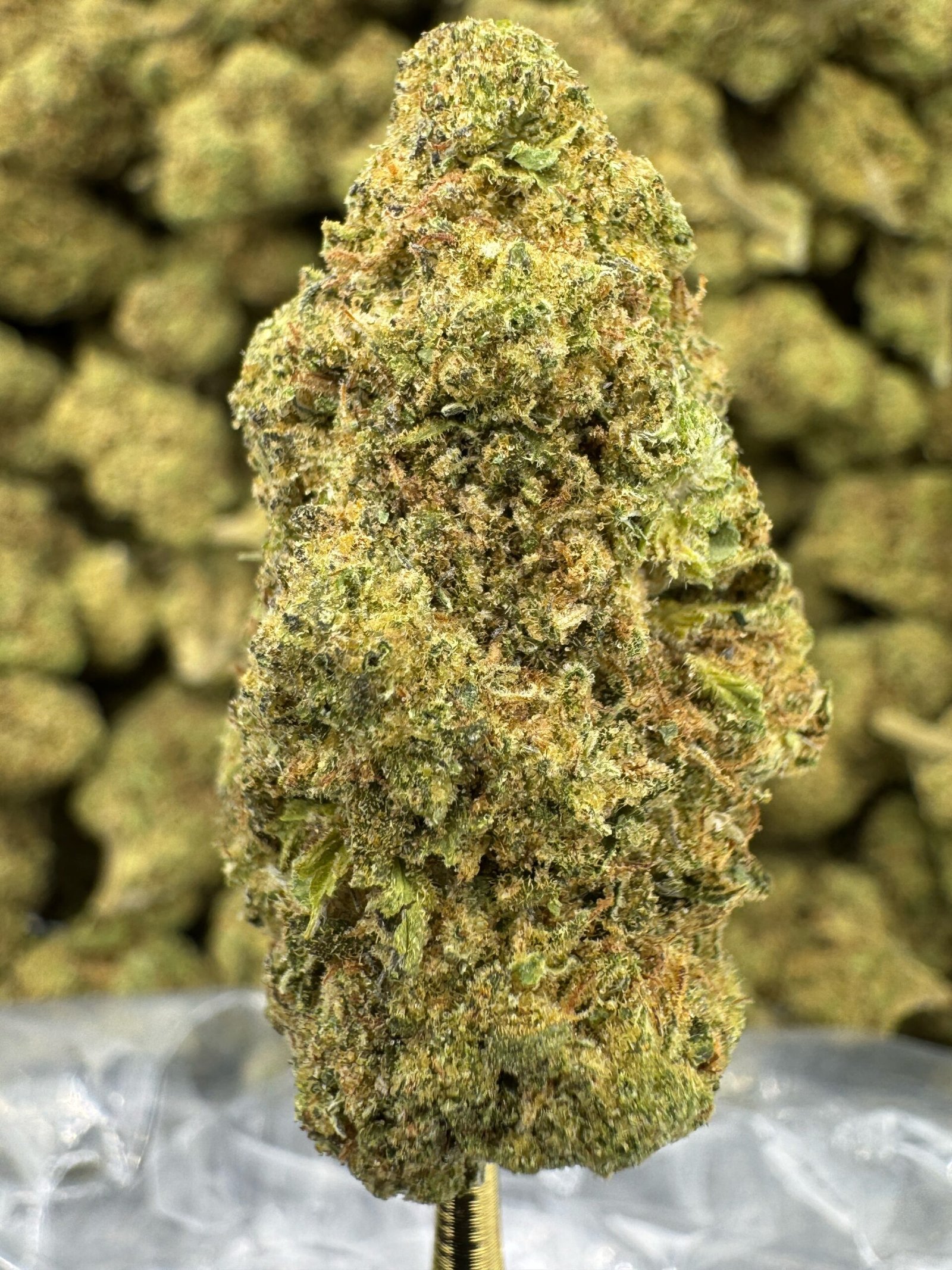 Mule Fuel – Bulk THCA Flower (Greenhouse Pounds) 1 Mule Fuel – Bulk THCA Flower (Greenhouse Pounds)