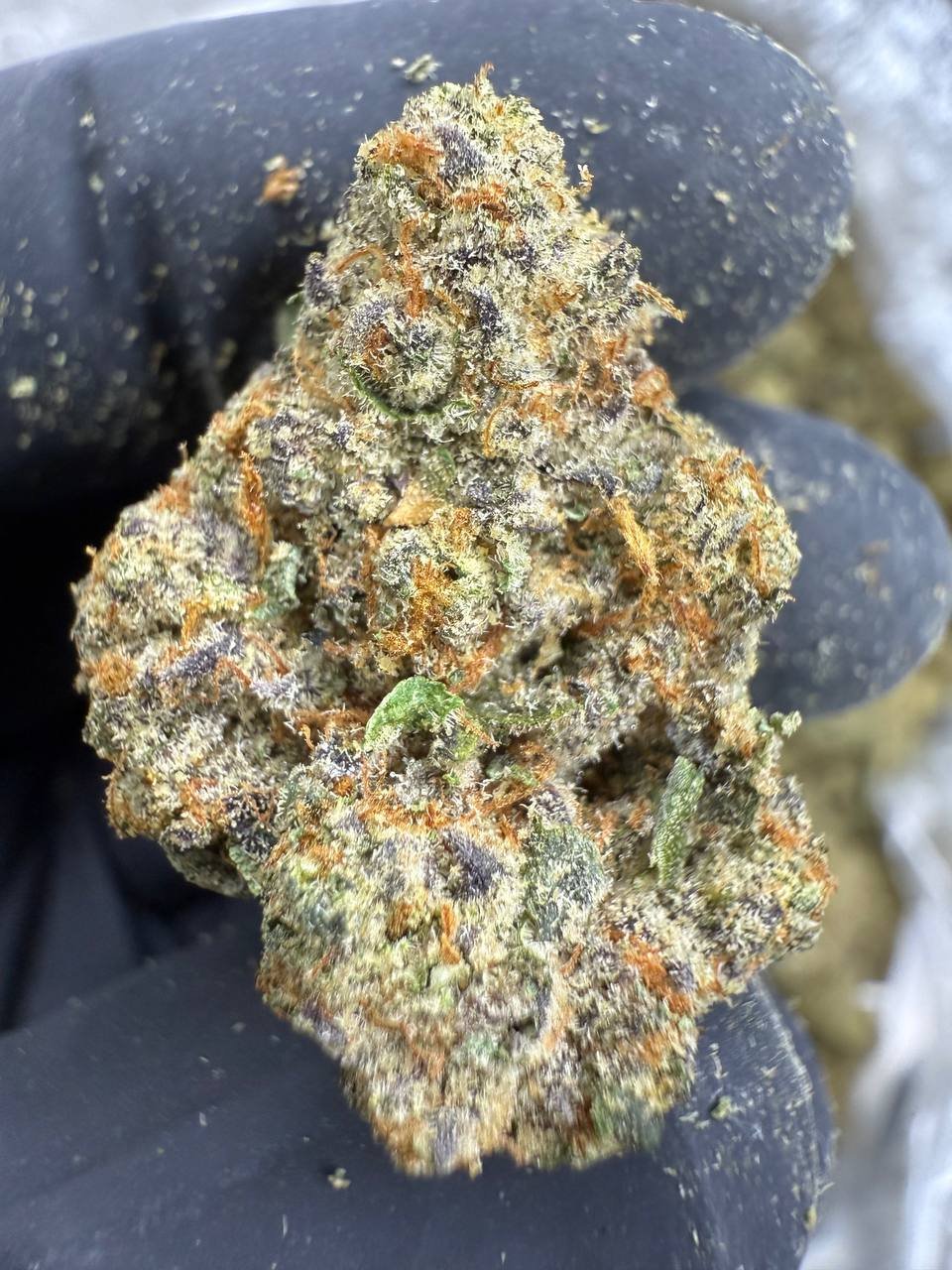 Ooh La La – Bulk THCA Flower (Indoor Pounds) 1 Ooh La La – Bulk THCA Flower (Indoor Pounds)
